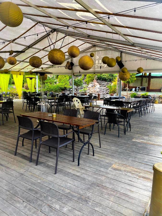 Kaktusik Otel Augustów Dış mekan fotoğraf