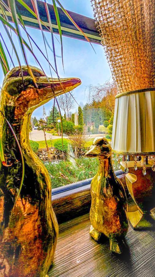 Kaktusik Otel Augustów Dış mekan fotoğraf