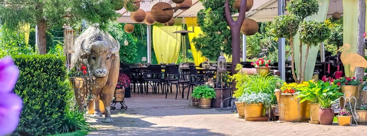 Kaktusik Otel Augustów Dış mekan fotoğraf