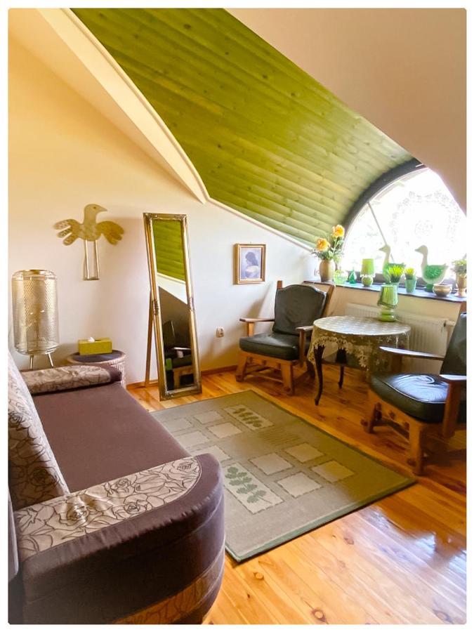 Kaktusik Otel Augustów Dış mekan fotoğraf