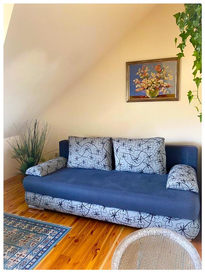 Kaktusik Otel Augustów Dış mekan fotoğraf